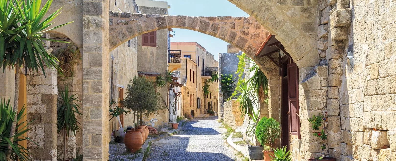 rue pavée avec plantes