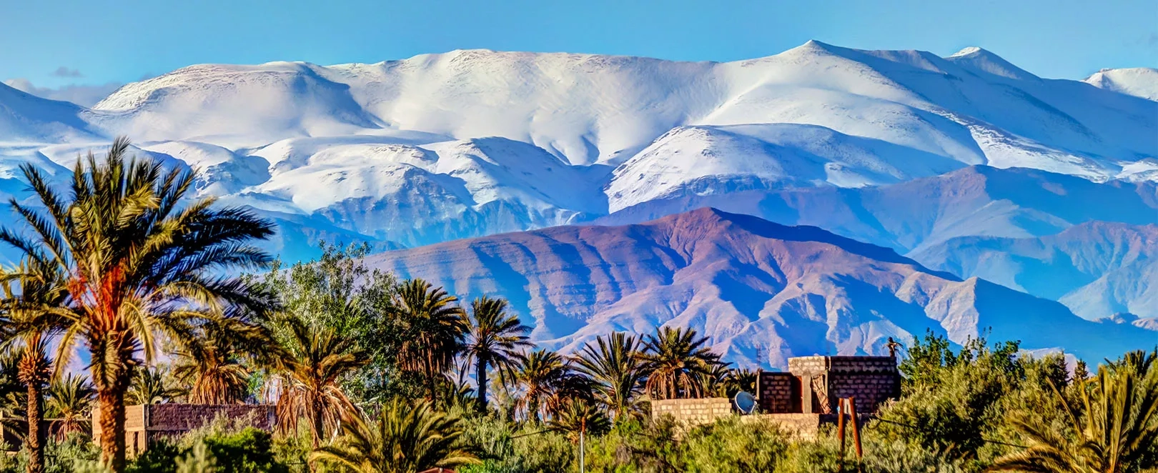 Palmeraie et montagnes de l’Atlas au Maroc, oasis verdoyante sous ciel bleu