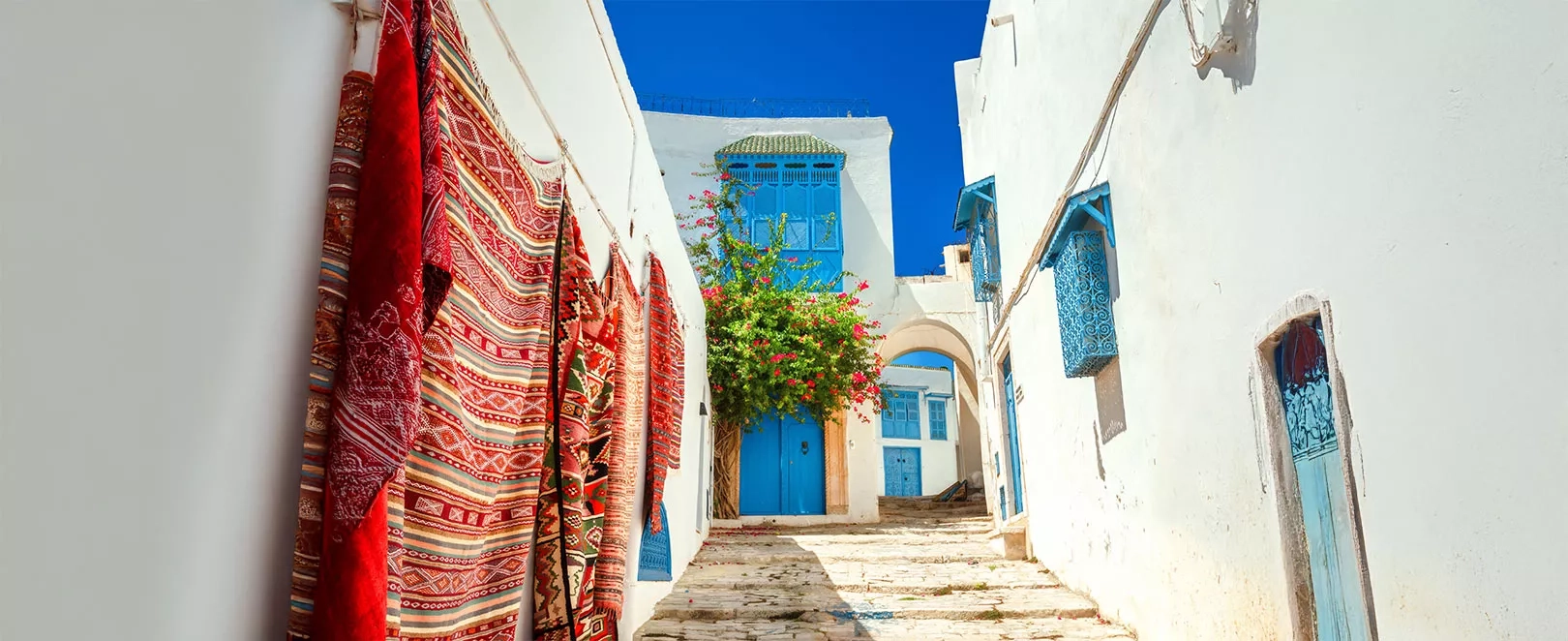 Maisons blanches et portes bleues de Sidi Bou Saïd en Tunisie, village emblématique avec tapis sur le mur