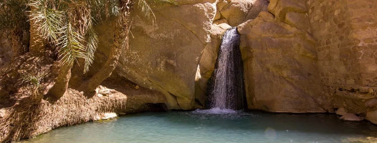 Cascade de l'oasis de montagne de Chebika, site naturel spectaculaire entre canyons et palmeraies de Tozeur.