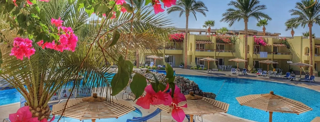 piscine extérieur transats, parasols, palmiers, jardin, bougainviliers