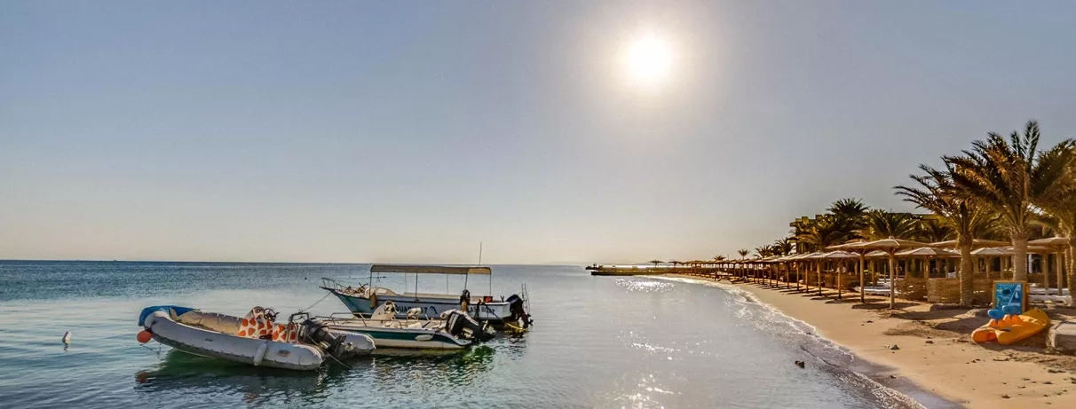 Vue de haut de la piscine le soir, transats, parasols, palmiers