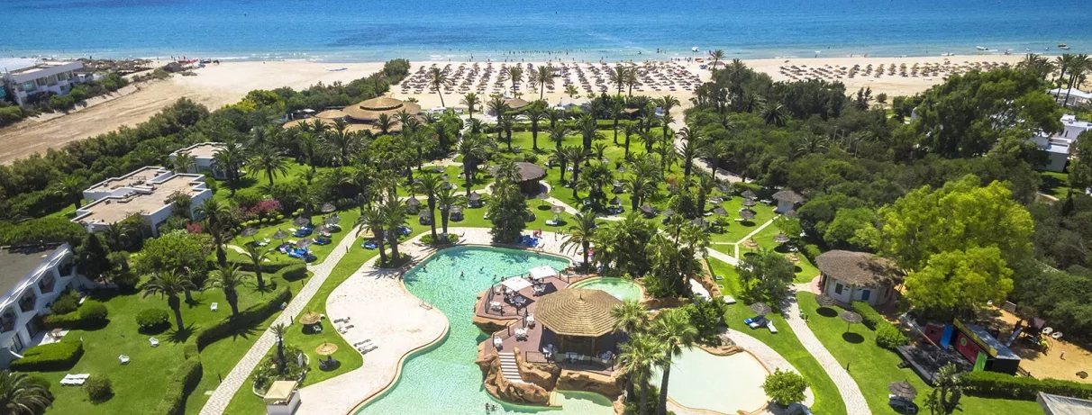 Vue aérienne piscine avec mer en arrière-plan