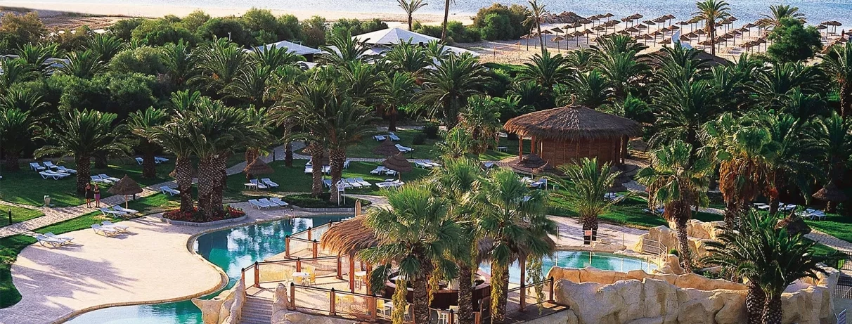 Piscine extérieure entourée de palmiers