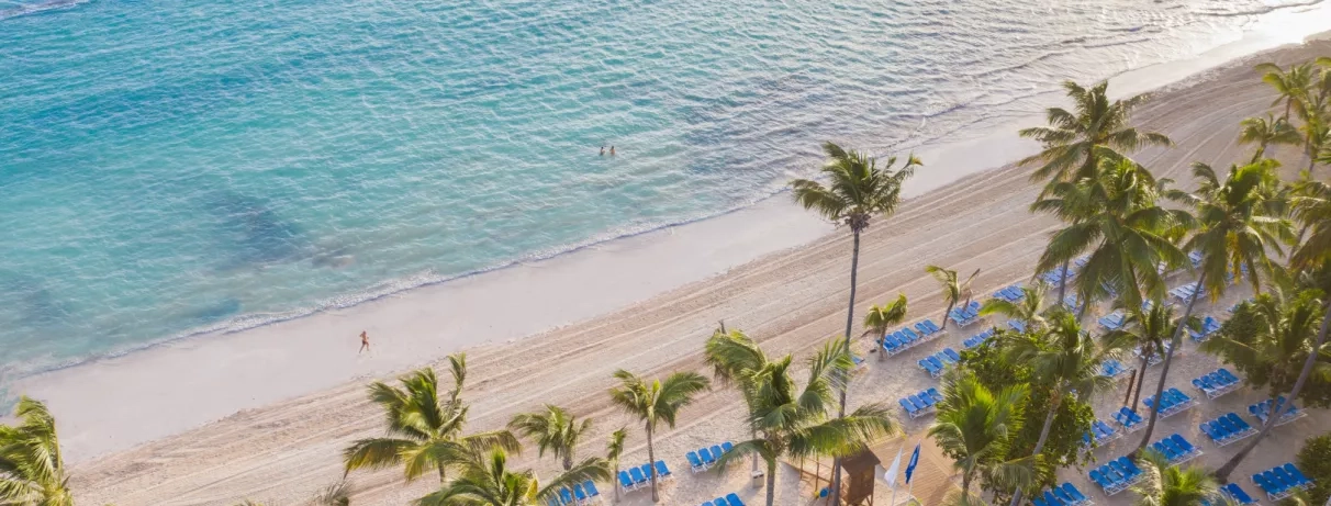 Vue de la plage aux eaux turquoise et de la verdure des palmiers en bord de mer.