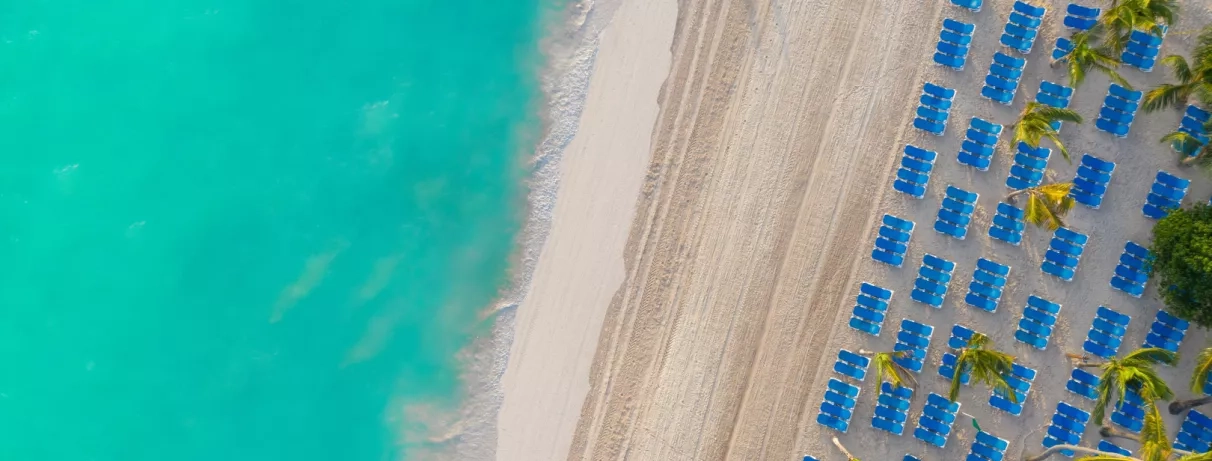 Une plage paradisiaque où s'alignent parfaitement des rangées de transats bleus à l'ombre des arbres.
