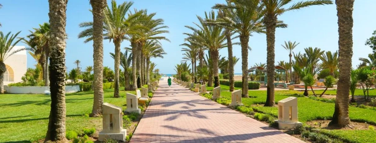 Allée pavée bordée de palmiers et jardins verdoyants menant à la plage du Royal Garden Palace