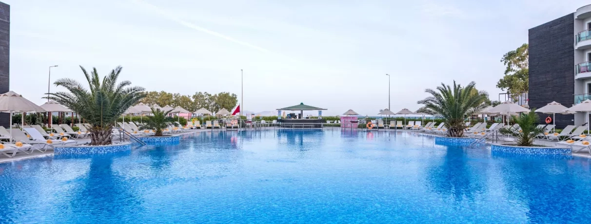 piscine avec palmiers et transats et parasols