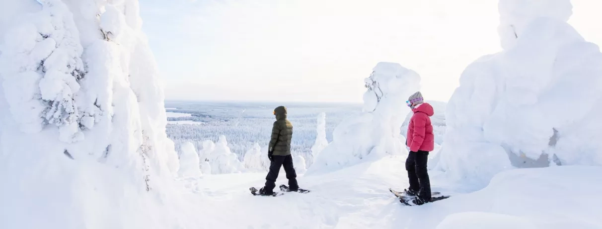 2 personnes faisant du ski de fond, forêt enneigée