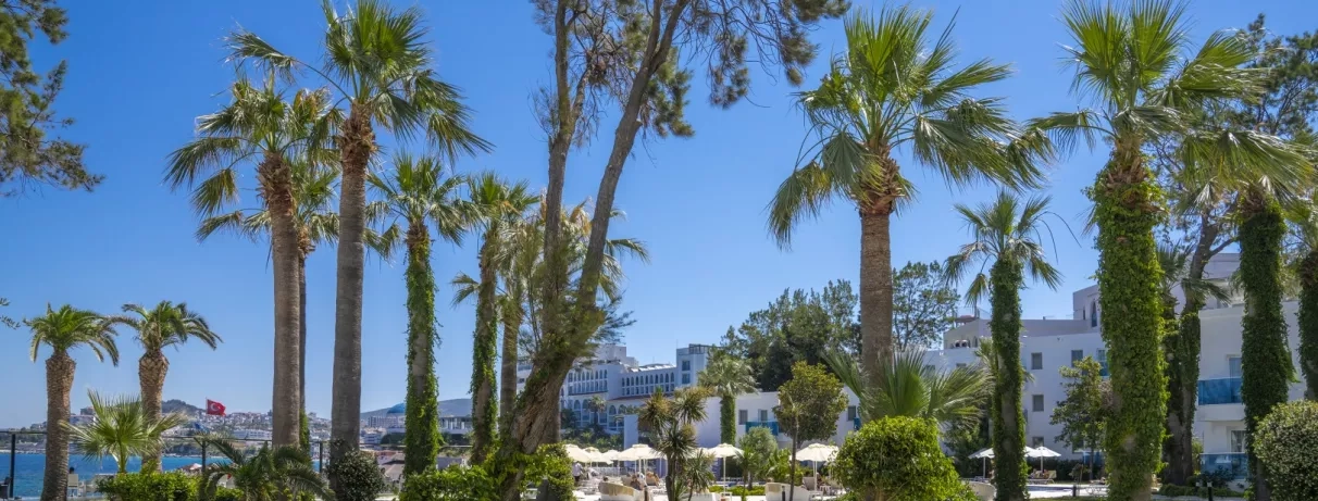 Une vue paisible sur les jardins tropicaux, entourant les bâtiments de l'hôtel.