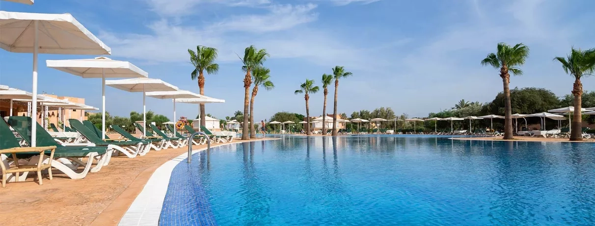Vue d'ensemble de la piscine avec transats verts au bord de la piscine avec des palmiers et un ciel bleu