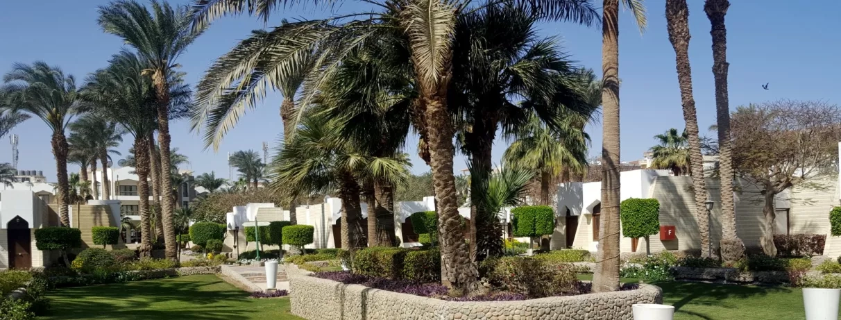 jardin extérieur de l'hôtel, avec des arbustes et des palmiers, bâtiment de l'hôtel