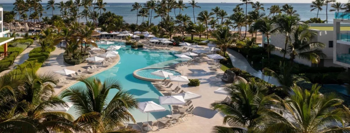 piscine, palmiers, transats, parasols, bord de mer, cocotiers