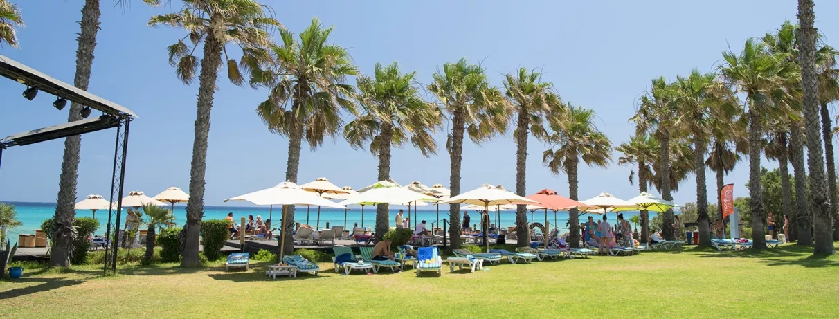 Plage bordée de palmiers, transats colorés et ambiance détendue en bord de mer