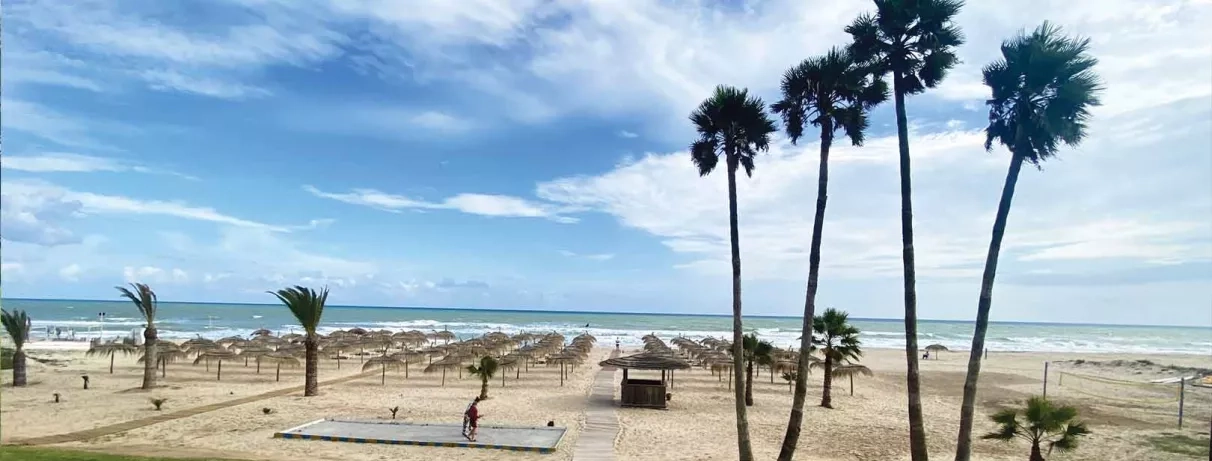 plage avec palmiers et transats 