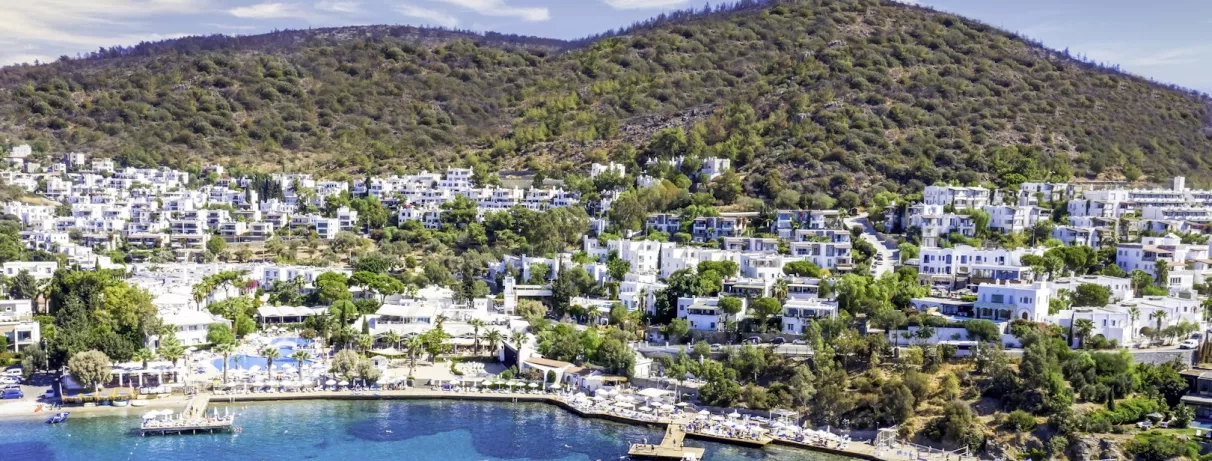 vue d'ensemble de la côte avec la montagne et l'hôtel