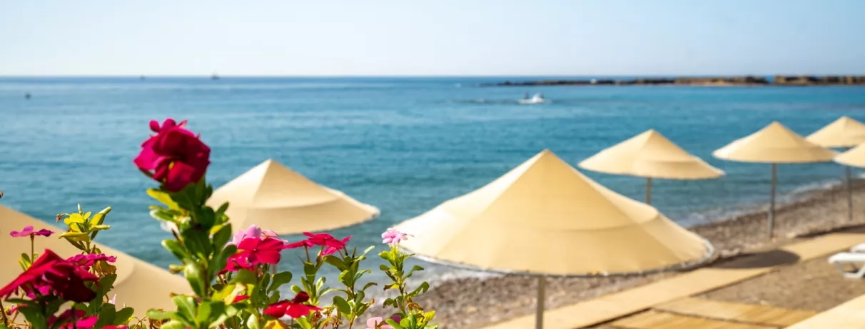 vue de la plage avec parasols 