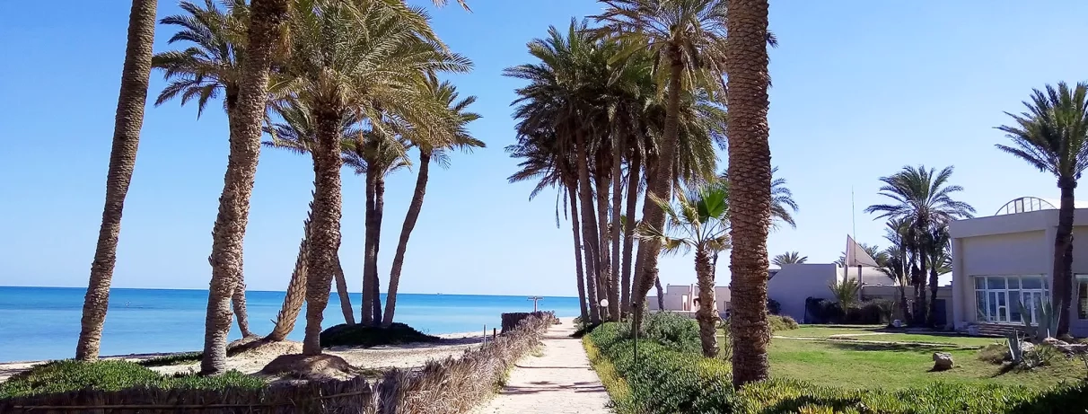 Allée bordée de palmiers menant à la plage de sable fin du Mondi Club Zita Beach, Djerba.
