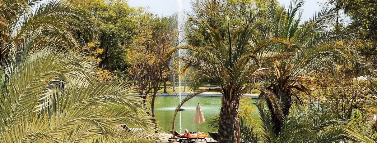 Une allée de palmiers et une végétation luxuriante, au sein du complexe.