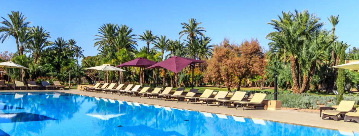 Une rangée de transats avec parasols bordant une piscine, offrant une ambiance de détente sous un ciel bleu.