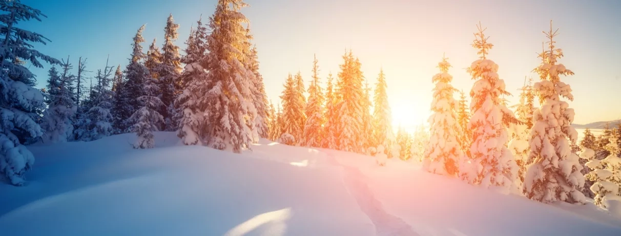  Coucher de soleil, forêt enneigée arbres chargés neige soleil