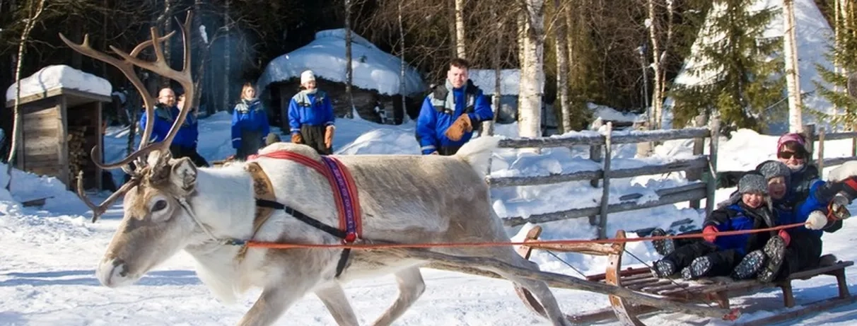 Activité de traineaux de reine dans forêt enneigée  
