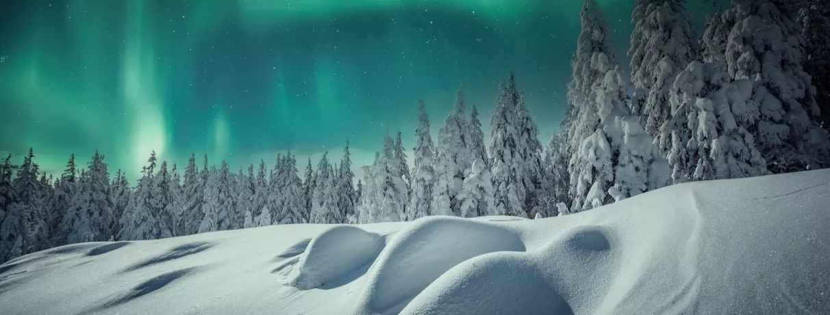 Paysage hivernal enneigé, sapins couverts de neige, aurores boréales illuminent ciel nocturne