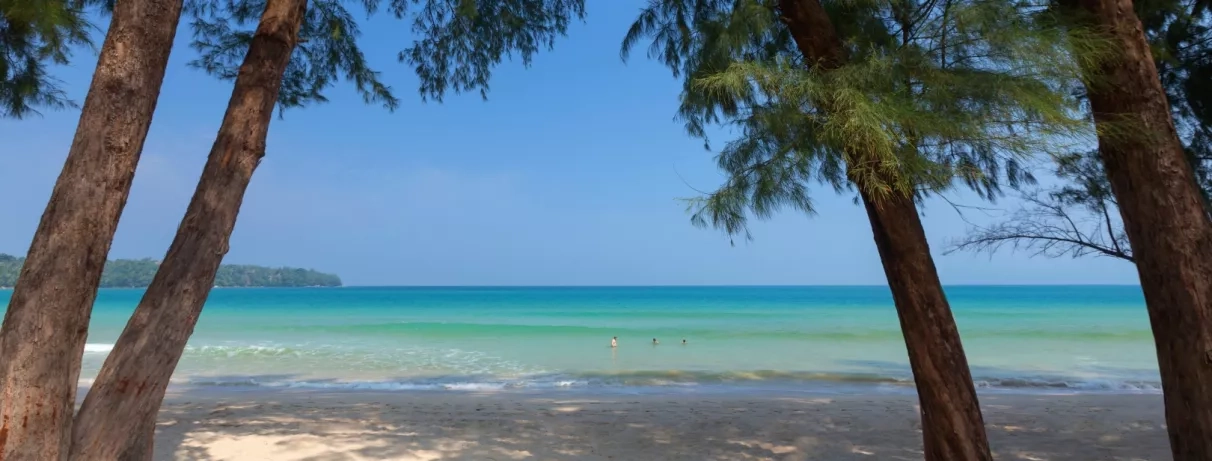 Vue de la mer turquoise cadré par les troncs et le feuillage de quelques arbres sur le rivage.