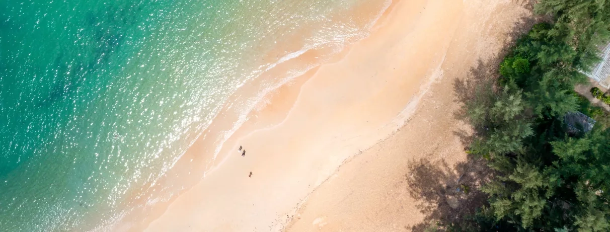 Une vue aérienne montrant le contraste entre la végétation dense, le sable et l'eau cristalline.