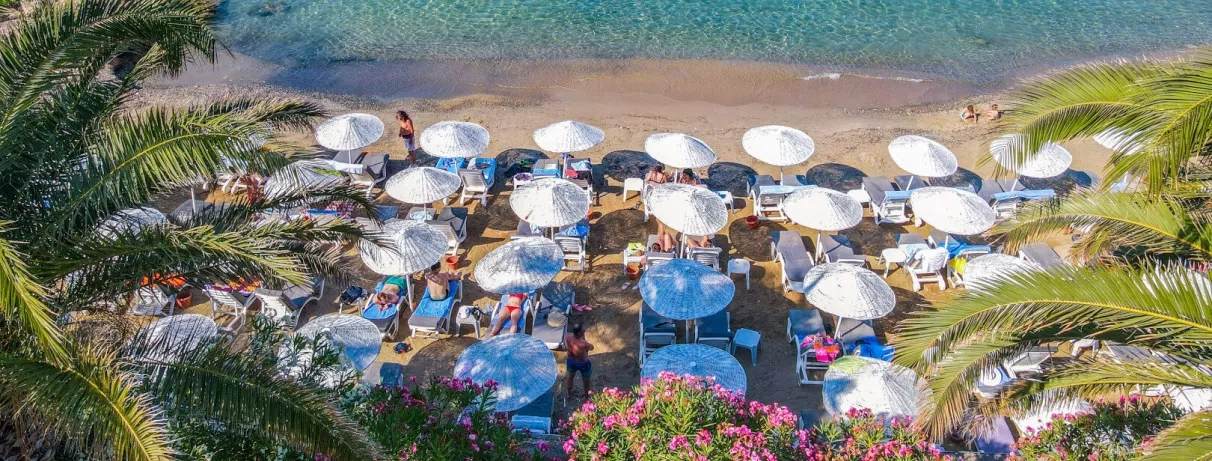 Une plage ensoleillée avec de nombreux parasols blancs alignés au bord de l'eau.
