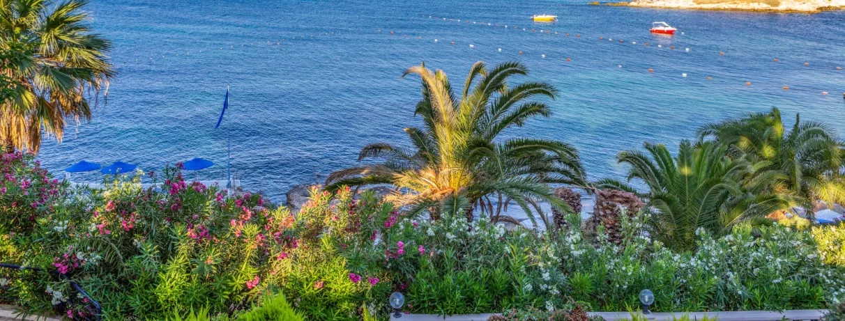 Une vue paisible sur la mer bleue encadrée par une végétation luxuriante.