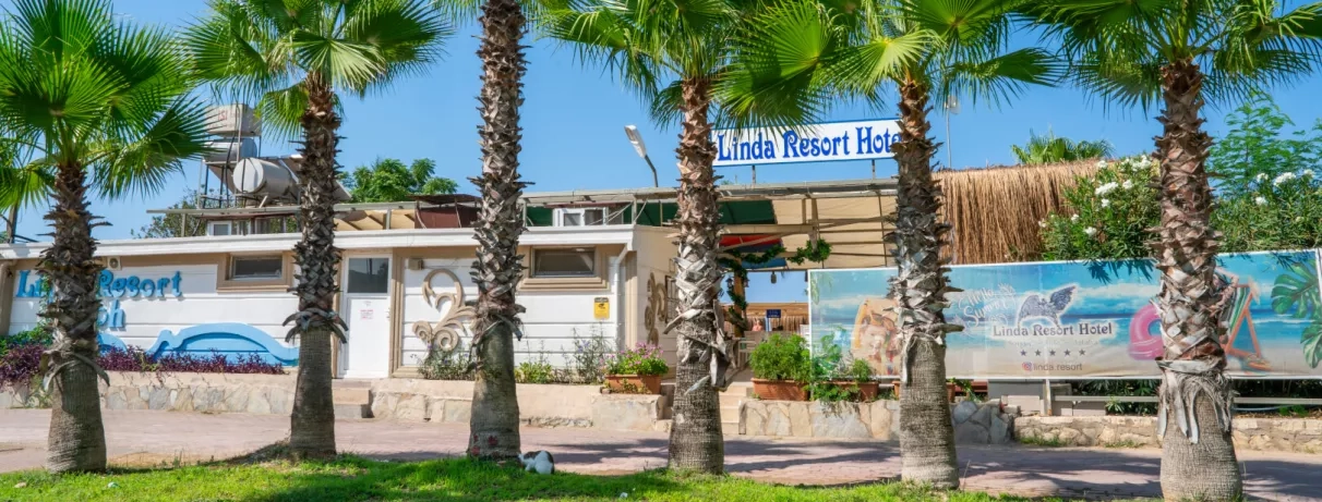 entrée de la plage avec des palmiers
