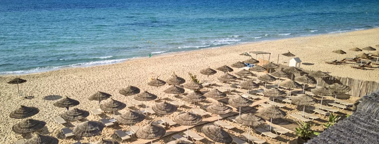 Parasols alignés sur une plage tranquille