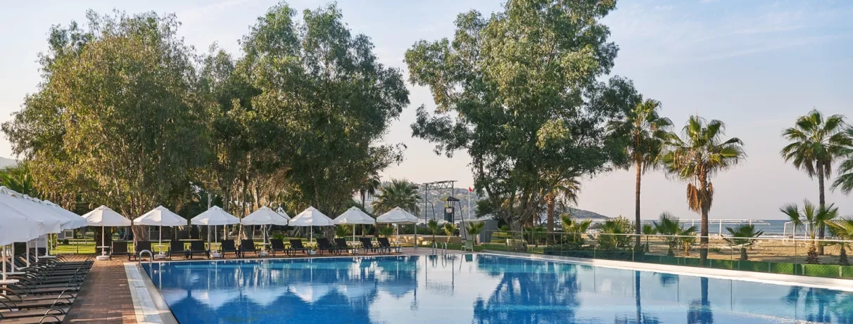Une piscine bordée de parasols blancs et de grands arbres verdoyants.