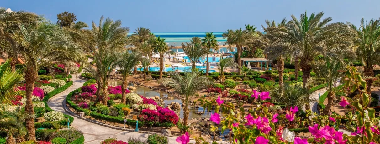 vue aérienne palmiers plage piscine