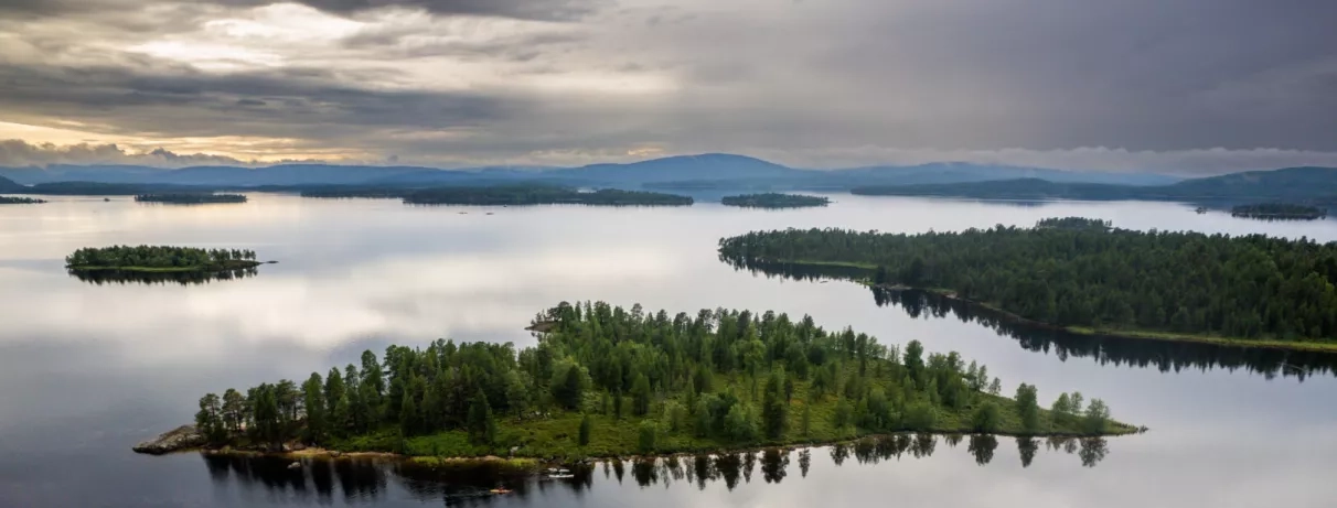 Etendue d'un lac, forêt, arbres