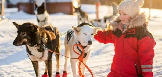 petite fille caressant un chien husky