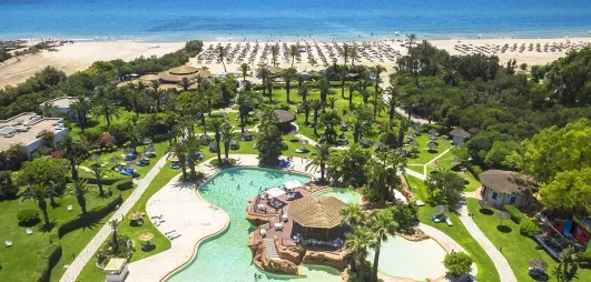 Vue aérienne piscine avec mer en arrière-plan