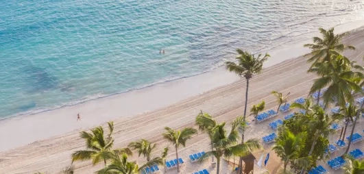 Vue de la plage aux eaux turquoise et de la verdure des palmiers en bord de mer.