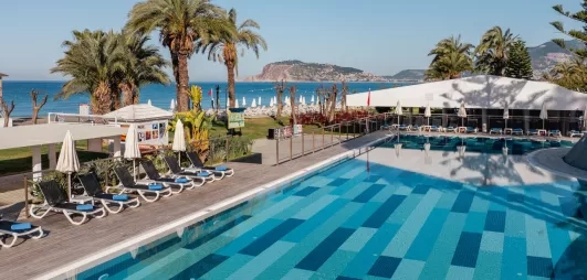 piscine extérieure avec transats et palmiers