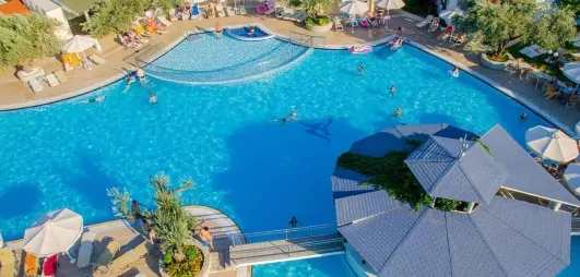 piscine et pataugeoire enfants, parasols et transats, oliviers, ponton pour rejoindre le bar terrasse