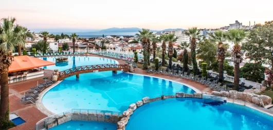 Une vue panoramique d'une vaste piscine traversée par un petit pont de bois.