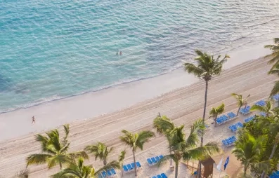 Vue de la plage aux eaux turquoise et de la verdure des palmiers en bord de mer.