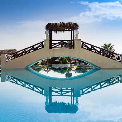 Piscine agrémentée d’un petit pont permettant de la traverser, ajoutant une touche charmante et conviviale à l’espace