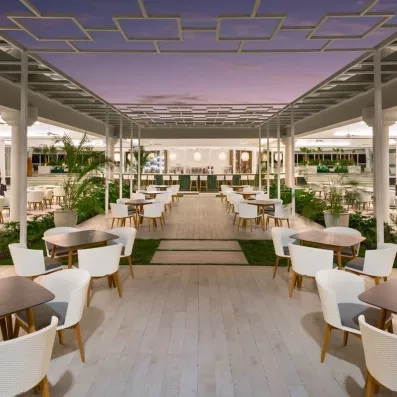 terrasse couverte restaurant tables grises carrées, chaises blanches, plantes partout et gazon au centre, bar au fond