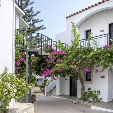 bâtiments de l'hôtel avec un bougainvillier rose autour des chambres