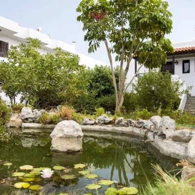 petit jardin de l'hôtel avec petit bassin et végétation