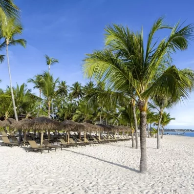 plage de sable avec cocotiers, transats et parasols paillote, eau bleue et ciel bleu