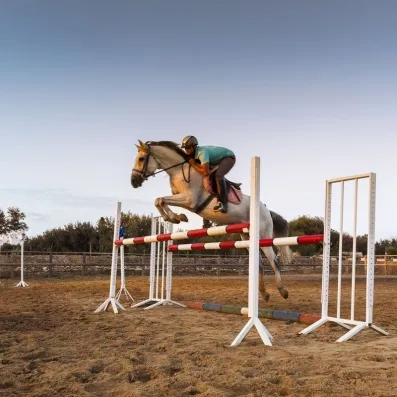 cavalier sautant un obstacle