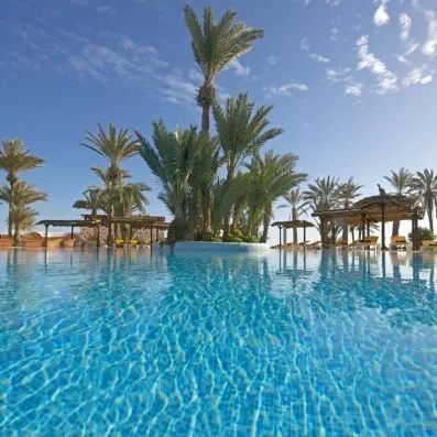 Vue sur la piscine extérieure scintillante entourée de palmiers tropicaux sous un ciel bleu.